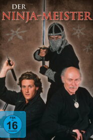 Der Ninja-Meister