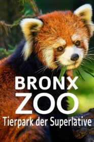 Bronx Zoo – Tierpark der Superlative