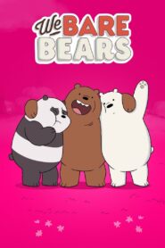 We Bare Bears – Bären wie wir