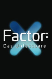 X-Factor – Das Unfassbare