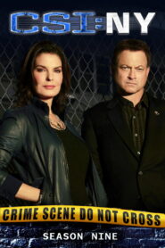 CSI: NY: Season 9