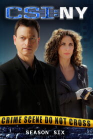 CSI: NY: Season 6