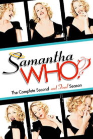Samantha Who?: Season 2